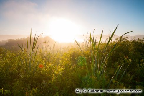 Little Pond, White Memorial Foundation, Litchfield, Connecticut