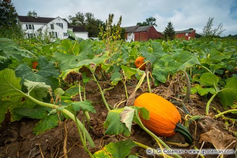 Glastonbury, Connecticut