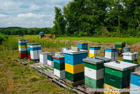 Simsbury, Connecticut