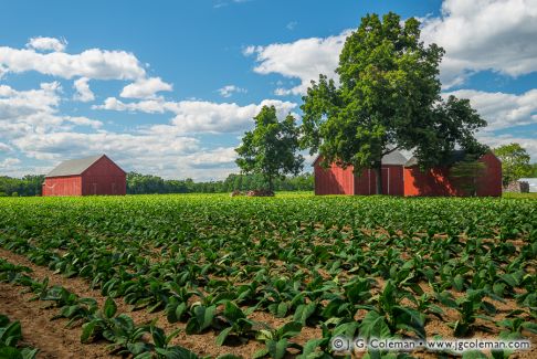 Glastonbury, Connecticut