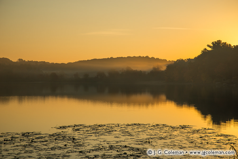 Bantam Serenity – J. G. Coleman Photography